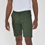 Tech Fabric Shorts // Emerald Green (32)