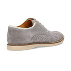 Arena Lace-Up // Gray + Light Gray (Euro: 43)
