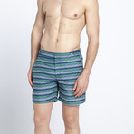 Bypath Swim Shorts (L)