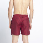 Samburu Swim Shorts (L)