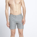 Sowing Swim Shorts (S)