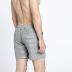 Sowing Swim Shorts (L)