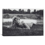 Brigitte Bardot Lying In Grass Topless // Globe Photos, Inc.
