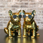 Aerobull XS1 // Chrome Gold Limited Edition // Set of 2