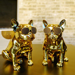 Aerobull XS1 // Chrome Gold Limited Edition // Set of 2