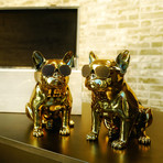 Aerobull XS1 // Chrome Gold Limited Edition // Set of 2