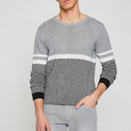 Matthew Sweatshirt // Gray (S)