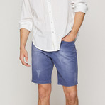 Ulises Shorts // Blue (38)