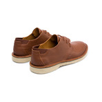Morrys // Brown (Euro: 39)