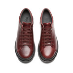 Brutus // Burgundy (Euro: 40)