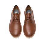 Morrys // Brown (Euro: 39)