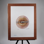 B*tchcoin "Classic" Print