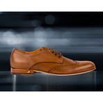 The Cavalier // Brown (US: 10.5)