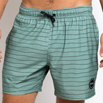 16" Ziggy 4-Way Stretch Swim Trunks // Sage Green (XL)