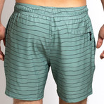 16" Ziggy 4-Way Stretch Swim Trunks // Sage Green (XL)