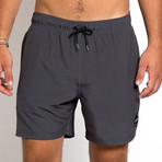 16" Ziggy 4-Way Stretch Swim Trunks // Charcoal (S)