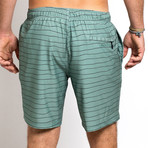 18" Nomad 4-Way Stretch Swim Trunks // Sage Green (M)