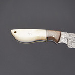 Camel Bone / Black Walnut Hunting Damascus Knife