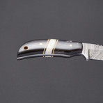 Buffalo Horn / Camel Bone Small Damascus Knife