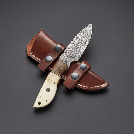 Camel Bone / Black Walnut Hunting Damascus Knife