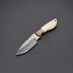 Camel Bone / Black Walnut Hunting Damascus Knife