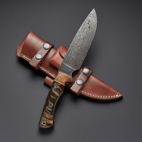 Sheep Horn / Ecotic Shedua Wood Damascus Knife