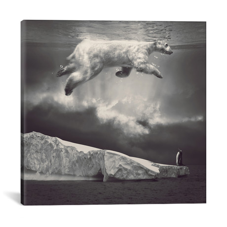 Fernweh, Polar Bear Sky // Soaring Anchor Designs (18"W x 18"H x 0.75"D)