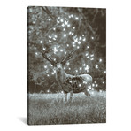 White Deer Light Within In Black & White // Soaring Anchor Designs (18"W x 26"H x 0.75"D)