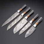 Damascus Chef Knife Set Of 5 Pcs // EM-110