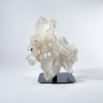 Natural Quartz Crystal Cluster + Stand