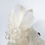 Natural Quartz Crystal Cluster + Stand