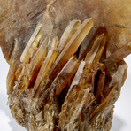 Natural Zambian Citrine Crystal Cluster