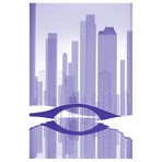 Central Park // Limited Edition