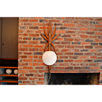 Mid-Century Danish Modern Bentwood Wall Lamp + Pendant