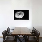 The Circle by Becze Gabor