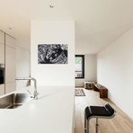 Frangipani Tree by Gloria Salgado Gispert (26"W x 18"H x 0.75"D)