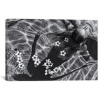 Frangipani Tree by Gloria Salgado Gispert (26"W x 18"H x 0.75"D)