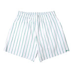 Brioni // Stripped Bathing Suit // Teal + White (S)