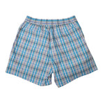 Brioni // Checked Bathing Suit // Blue + Sage (S)