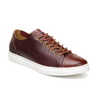 Abreno Sneakers // Burgundy + Cognac (US: 10)