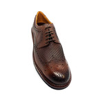 Forza Dress Shoes // Brown (US: 11)