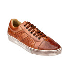 Ecco Sneakers // Antique Honey (US: 12)