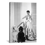 Audrey Hepburn Walking Dogs In Sabrina by Movie Star News (18"W x 26"H x 0.75"D)