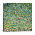 Apple Tree (Apfelbaum), 1912 by Gustav Klimt (18"W x 18"H x 0.75"D)