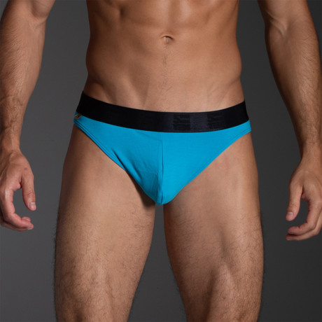 Bikini Brief // Blue (S)