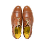 Quarter Full Oxford // Gold (US: 7)