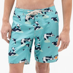 Whilly Swim Shorts // Aqua (33)