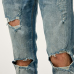 Justin Low Rise Skinny Jeans // Fog (30)