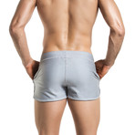 Spyce Shorts // Gray (XS)