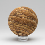 Genuine Sandstone Sphere